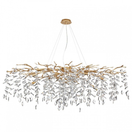 Фото Подвесная люстра Odeon Light Delica 4969/14