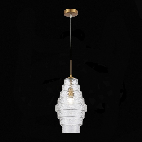 Фото Подвесной светильник ST-Luce Rexite SL1001.213.01