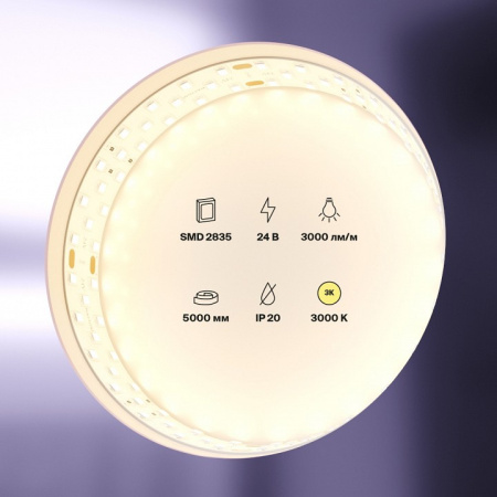 Фото Лента светодиодная Maytoni Led strip 20031