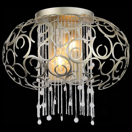 Фото Накладной светильник ST-Luce Dolcima SL1101.201.02