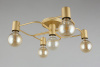 Фото Потолочная люстра Aployt Elison APL.911.07.05