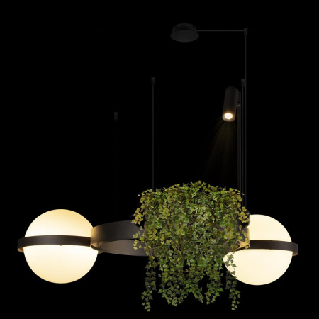 Открыть Подвесная люстра Loft it Jardin 10121/2 Dark grey Фото Подвесная люстра Loft it Jardin 10121/2 Dark grey