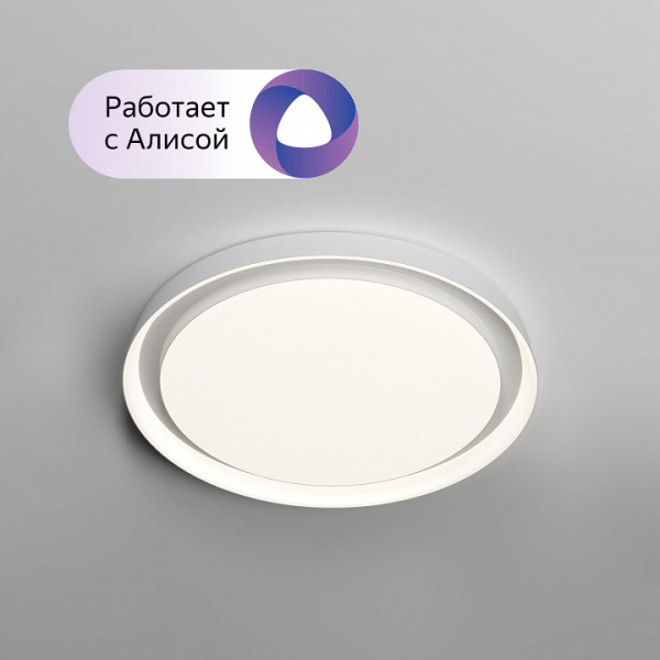 Фото Накладной светильник Denkirs Plato DK6516-WH