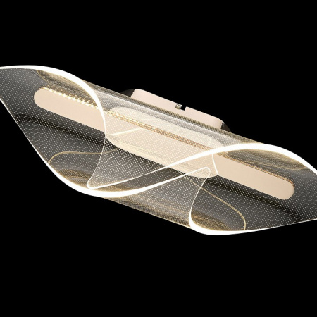 Фото Накладной светильник Wertmark Helga WE447.01.301