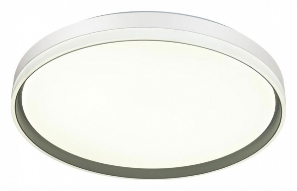 Фото Накладной светильник Sonex Savi 7631/DL