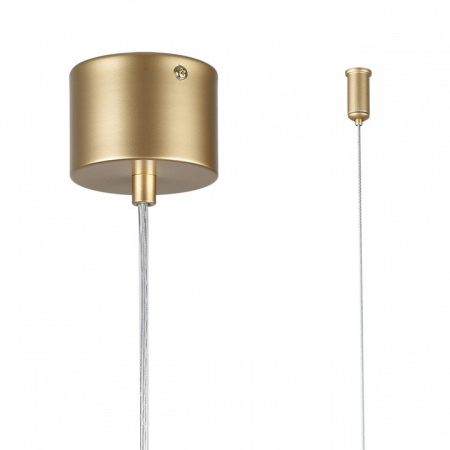 Фото Подвесной светильник Lumion Toronto 6560/2