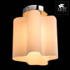 Открыть Накладной светильник Arte Lamp Serenata A3479PL-1CC Фото Накладной светильник Arte Lamp Serenata A3479PL-1CC