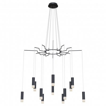 Фото Подвесная люстра Maytoni Davida MOD035PL-12B