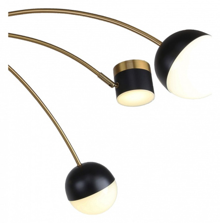 Фото Потолочная люстра F-promo Canvas 3096-10P