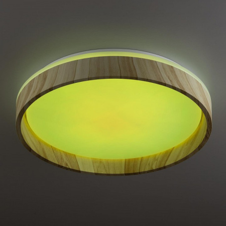 Фото Накладной светильник Citilux ENZO CL753352G