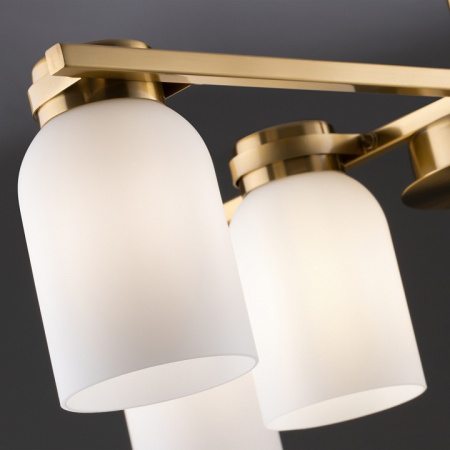 Фото Люстра на штанге Freya Kamelia FR5446PL-06BS