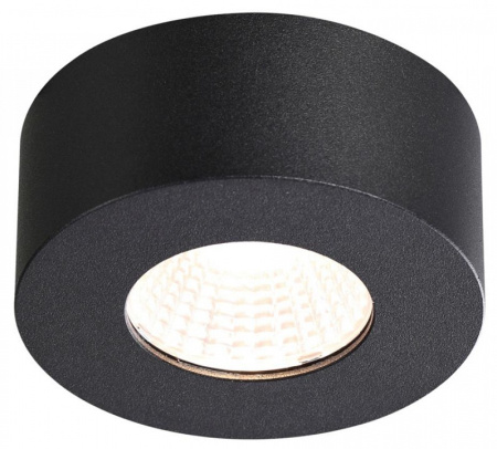 Фото Накладной светильник Odeon Light Bene 4283/7CL