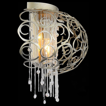 Фото Накладной светильник ST-Luce Dolcima SL1101.201.02