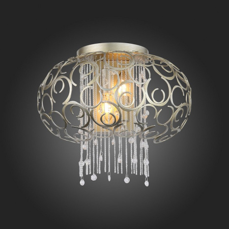 Фото Накладной светильник ST-Luce Dolcima SL1101.201.02