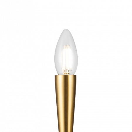 Открыть Бра Freya Branches FR5253WL-02BS Фото Бра Freya Branches FR5253WL-02BS