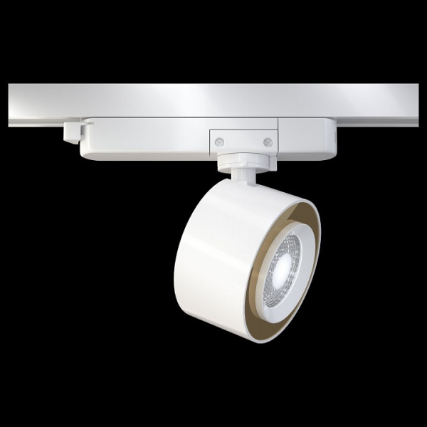 Фото Светильник на штанге Maytoni Track lamps TR023-1-12W4K