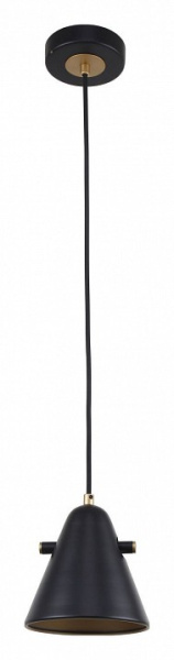 Фото Подвесной светильник F-promo Rigor 2844-1P
