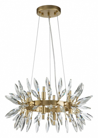 Фото Подвесная люстра Favourite Rays 4058-8P