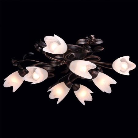 Фото Потолочная люстра MW-Light Аида 13 323013708