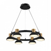 Открыть Подвесная люстра Indigo Traforo 11059/6P Black Фото Подвесная люстра Indigo Traforo 11059/6P Black