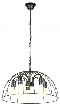 Фото Подвесная люстра Lussole Lattice 1 GRLSP-8216