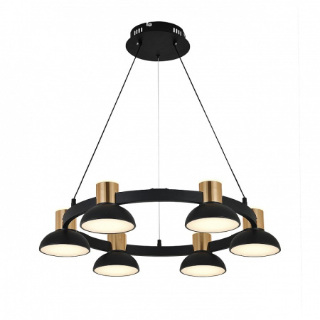 Открыть Подвесная люстра Indigo Traforo 11059/6P Black Фото Подвесная люстра Indigo Traforo 11059/6P Black
