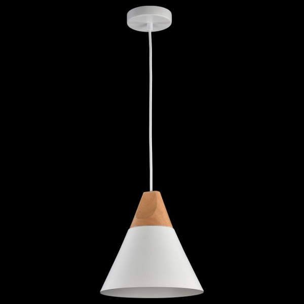 Фото Подвесной светильник Maytoni Bicones P359-PL-01-W