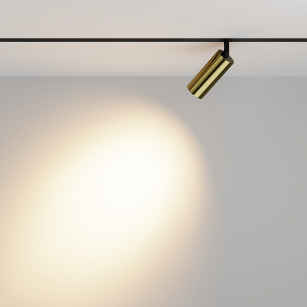 Фото Светильник на штанге Maytoni Focus LED TR032-2-12W3K-M-BBS