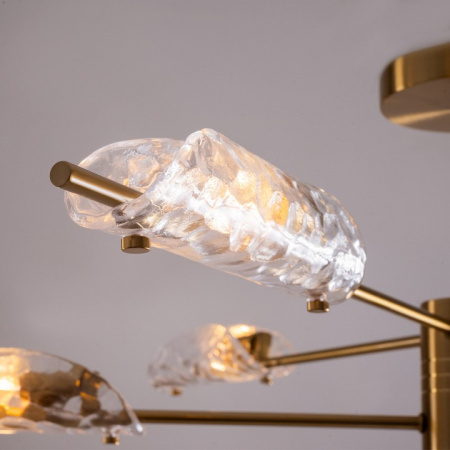 Фото Люстра на штанге Freya Baret FR5420CL-06BS