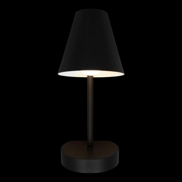 Фото Бра Loft it Shelf 10216/1W Black