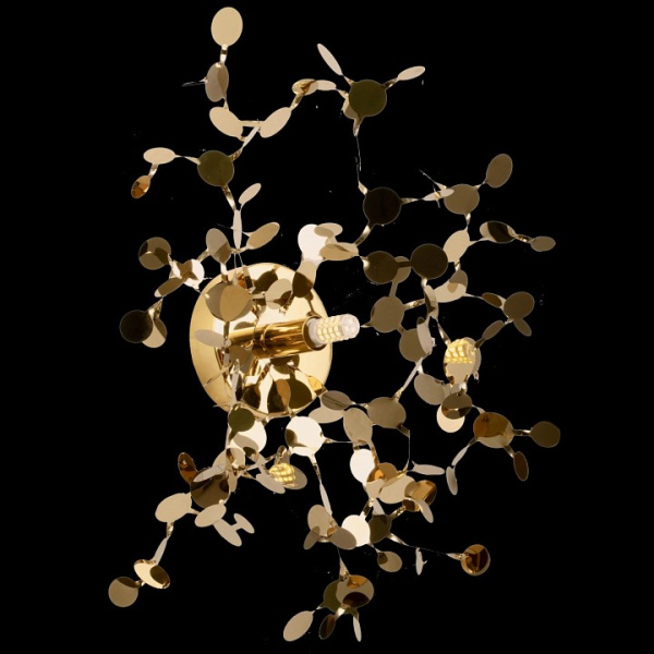 Фото Накладной светильник Lightstar Extra 721632