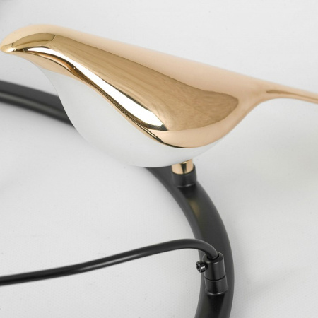 Фото Подвесная люстра Lussole Jasper LSP-8641