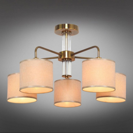 Фото Люстра на штанге Omnilux Barumini OML-56907-05