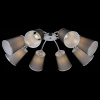 Открыть Потолочная люстра EVOLUCE Maleonte SLE103002-08 Фото Потолочная люстра EVOLUCE Maleonte SLE103002-08
