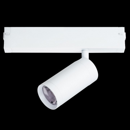 Фото Светильник на штанге Lightstar Teta 205026