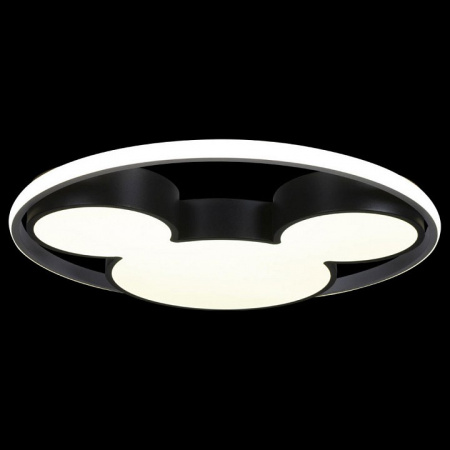 Фото Накладной светильник Loft it Mike 10166