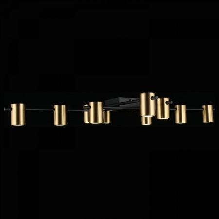 Фото Потолочная люстра Aployt Elwisia APL.633.07.10