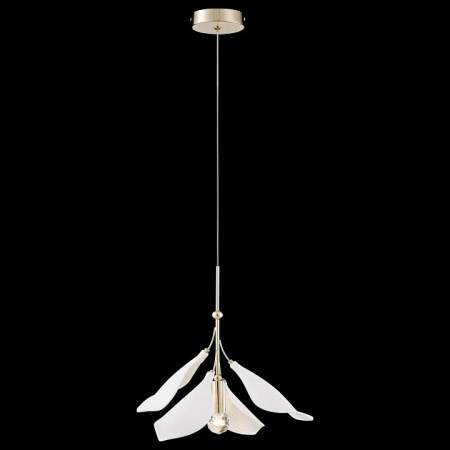 Фото Подвесной светильник Wertmark Miranda WE123.01.306