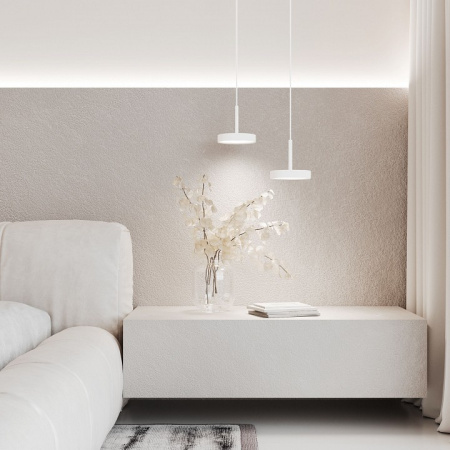 Фото Подвесной светильник Elektrostandard Plate a065412