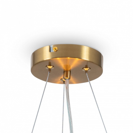 Фото Подвесной светильник Freya Bride FR5367PL-03BS