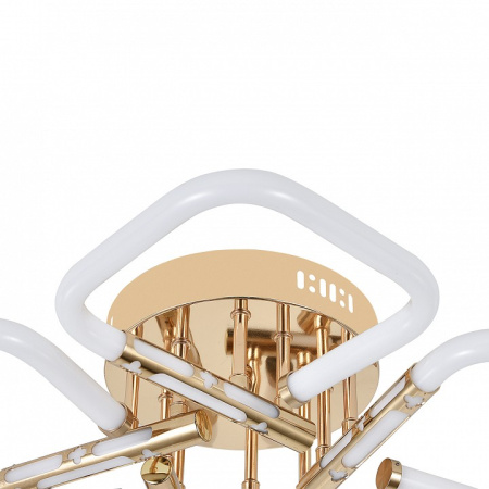 Фото Потолочная люстра Escada Lacerta 10265/5LED