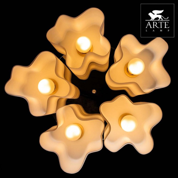 Фото Накладной светильник Arte Lamp Serenata A3479PL-5CC
