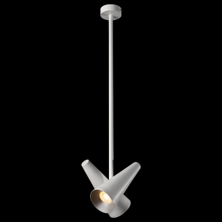 Фото Светильник на штанге Maytoni Giro MOD095PL-02W