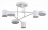 Фото Потолочная люстра EVOLUCE Nobel SLE201052-06