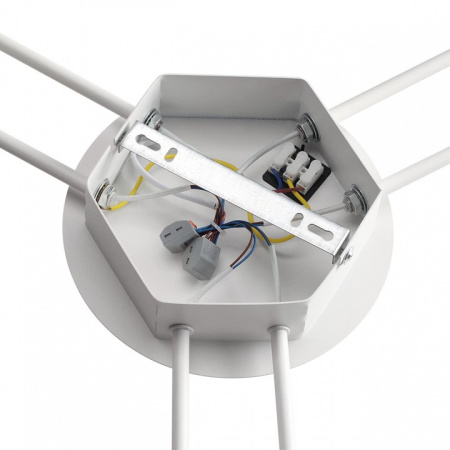 Фото Потолочная люстра Lumion Gareta 8235/6C