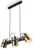 Фото Подвесной светильник Freya Elori FR4005PL-03BBS