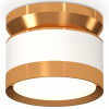 Накладной светильник Ambrella Light XS XS8101060 Накладной светильник Ambrella Light XS XS8101060