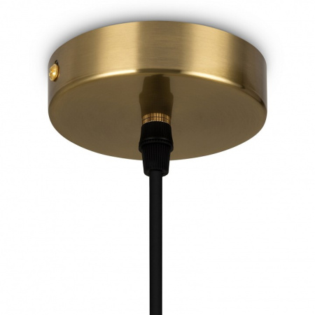 Фото Подвесной светильник Freya Pina FR5387PL-L14BS