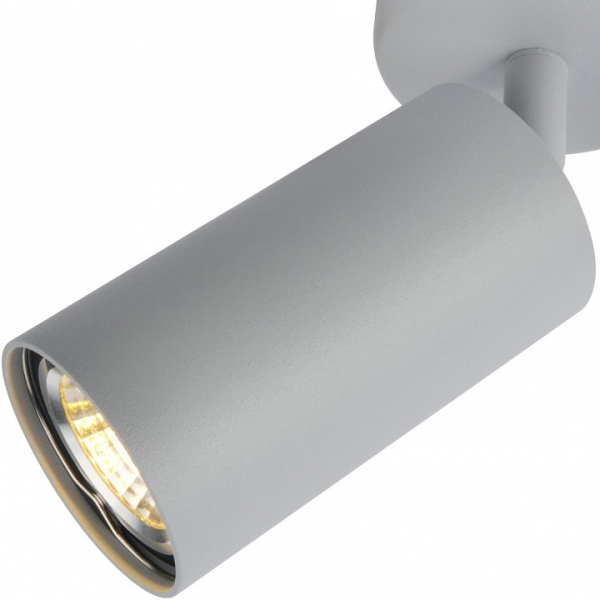 Фото Спот Arte Lamp Aquarius A3216PL-1GY