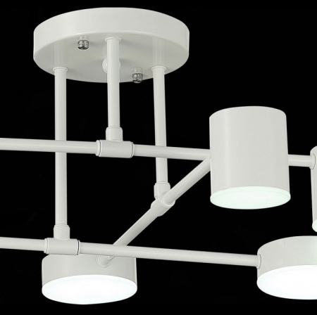 Фото Потолочная люстра EVOLUCE Nobel SLE201052-06